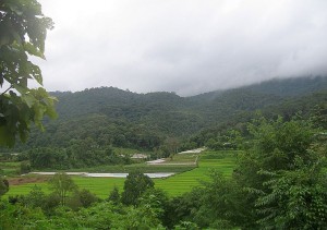 doi inthanon nationalpark thailand