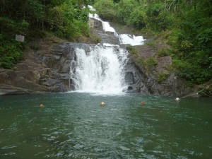 khao yai nationalpark thailand