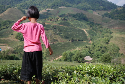 Reisetipps zu den schönsten Sehenswürdigkeiten Thailands